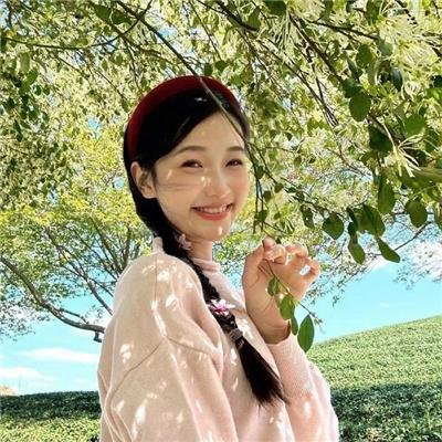 忍者收藏